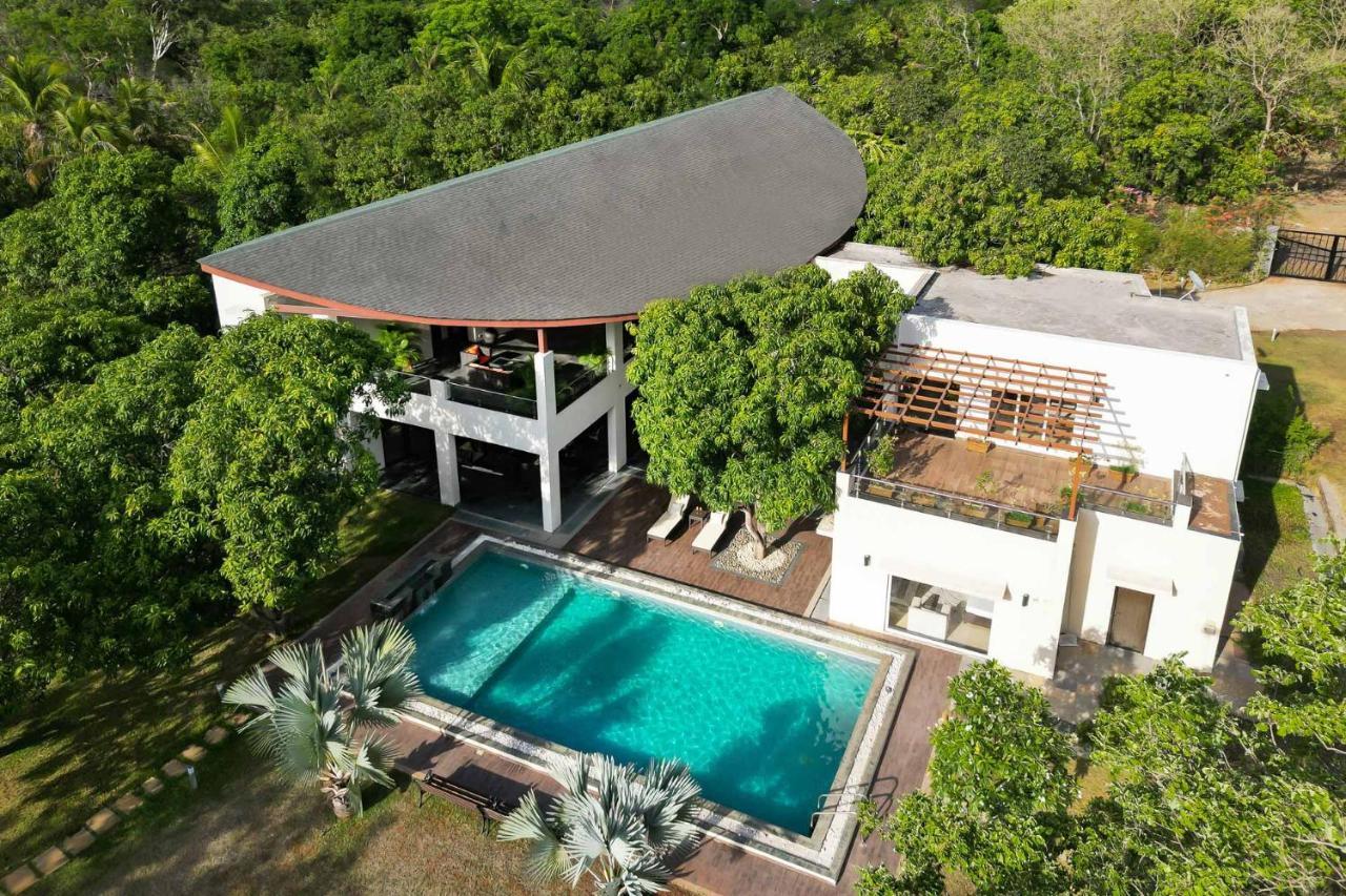 The Leaf By Stayvista - An Enchanting Escape Offering A Pool, Terrace, Lush Lawn, Contemporary Interiors, And Indoor Games Алибаг Екстериор снимка